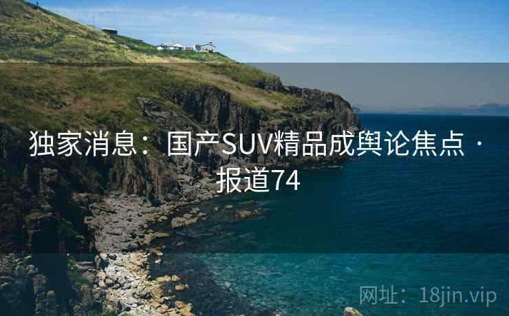 独家消息:国产SUV精品成舆论焦点 · 报道74